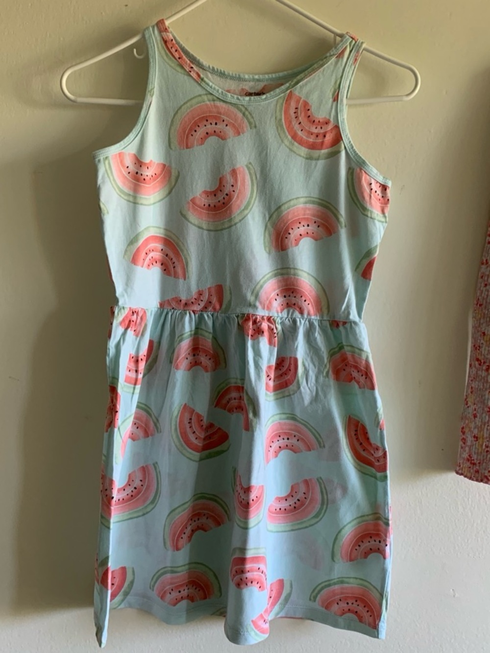 Carter's Sleeveless Watermelon Print Dress - Light Blue & Pink